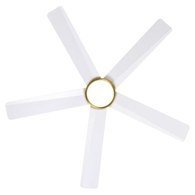 Breezary 65/52/42 5-Blade LED Ceiling Fan with Light Kit and Remote