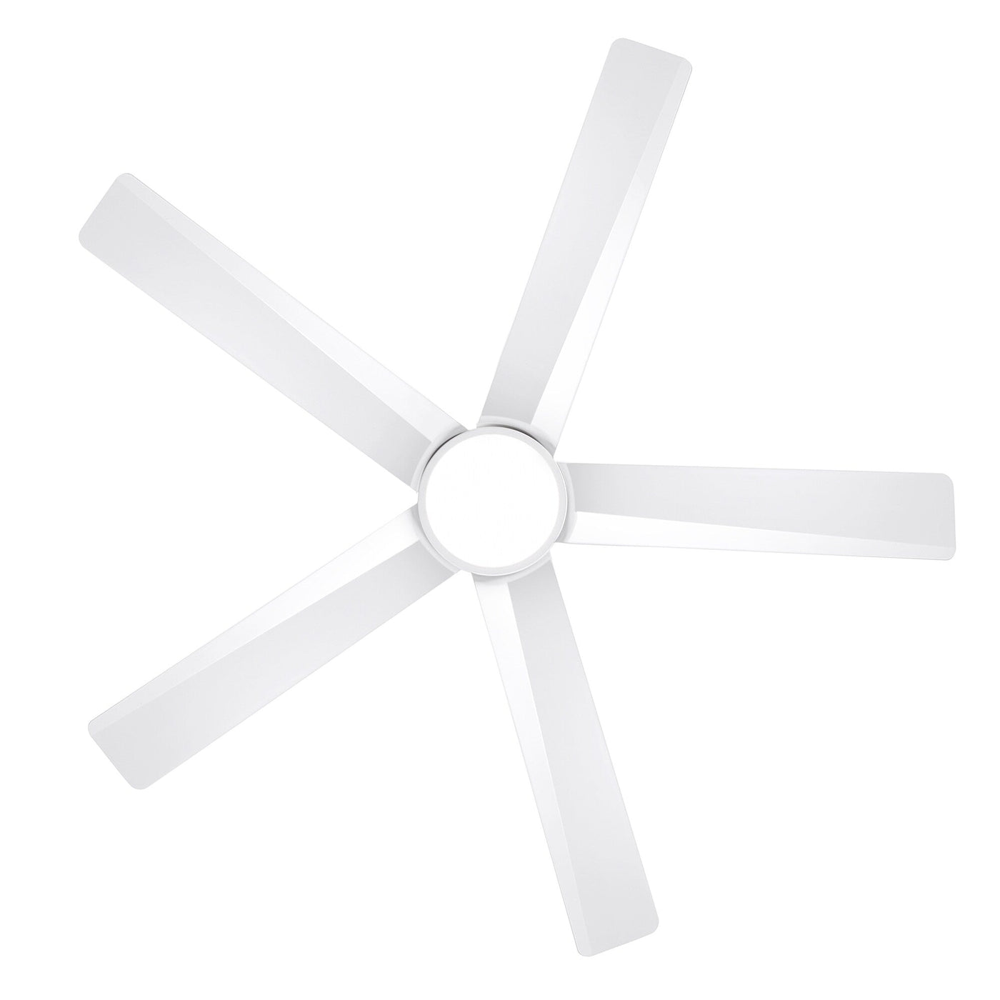Breezary 65/52/42 5-Blade LED Ceiling Fan with Light Kit and Remote