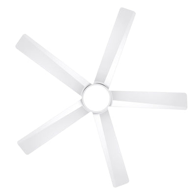 Breezary 65/52/42 5-Blade LED Ceiling Fan with Light Kit and Remote