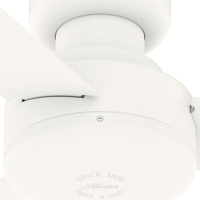 10' x 13' Steel Outdoor Pergola Gazebo, Patio Canopy with Drainage Holes for Backyard Pool Deck Garden