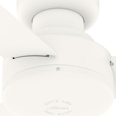 10' x 13' Steel Outdoor Pergola Gazebo, Patio Canopy with Drainage Holes for Backyard Pool Deck Garden