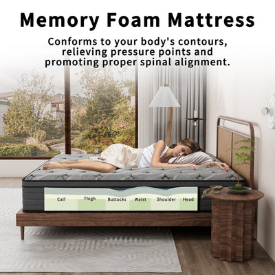 Modland 14-inch Hybrid Medium Euro Top Mattress, Pocket Spring Mattress in a Box