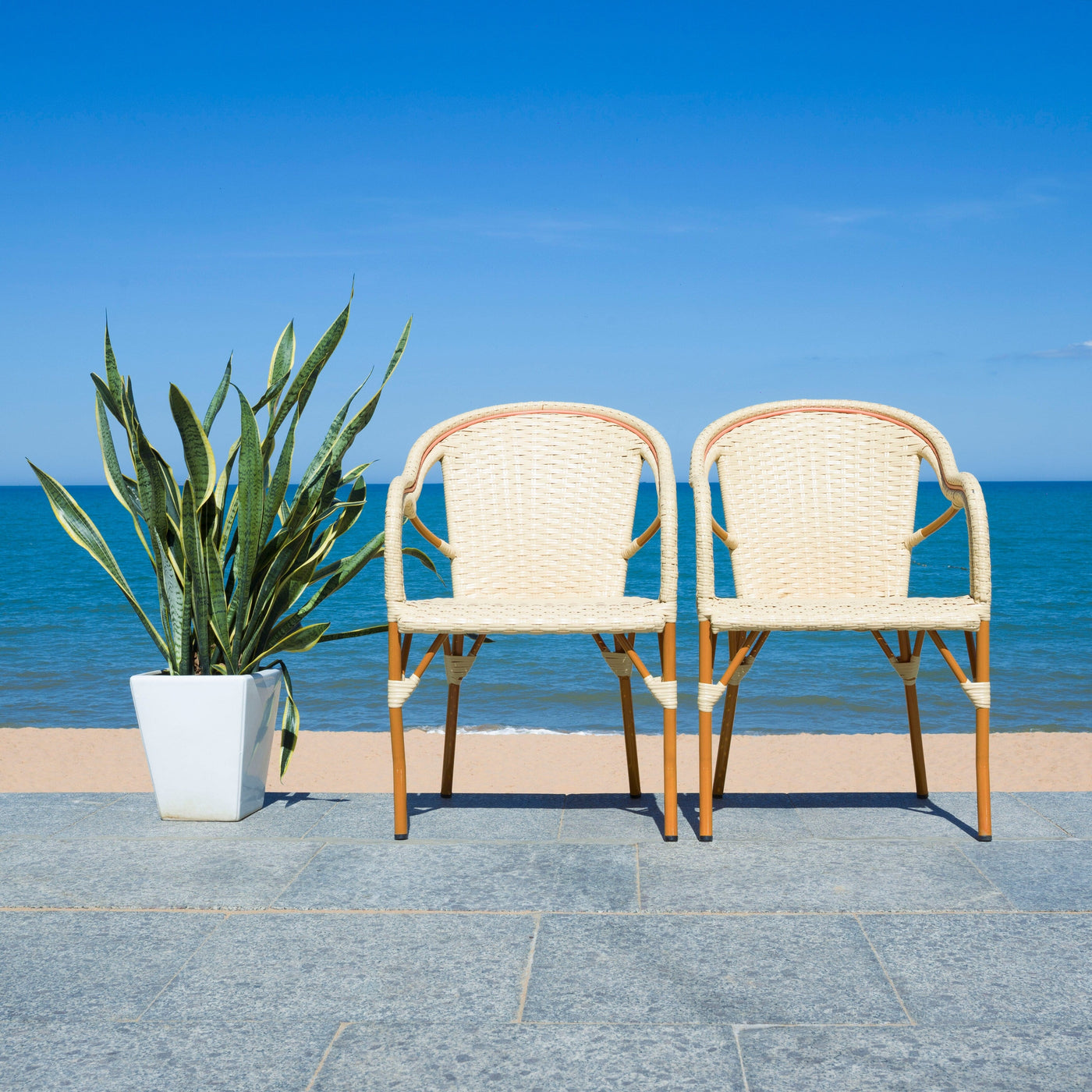 SAFAVIEH Doreth Arm Chair (Set of 2) - 23Wx36Dx25H