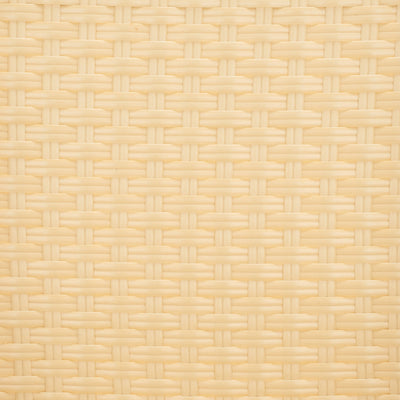 SAFAVIEH Doreth Arm Chair (Set of 2) - 23Wx36Dx25H