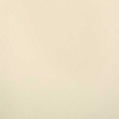 Salem Outdoor Cushion Set for Chaise Lounge - Cushions only (Set of 2) by Christopher Knight Home - 79.25L x 27.50W x 1.50H