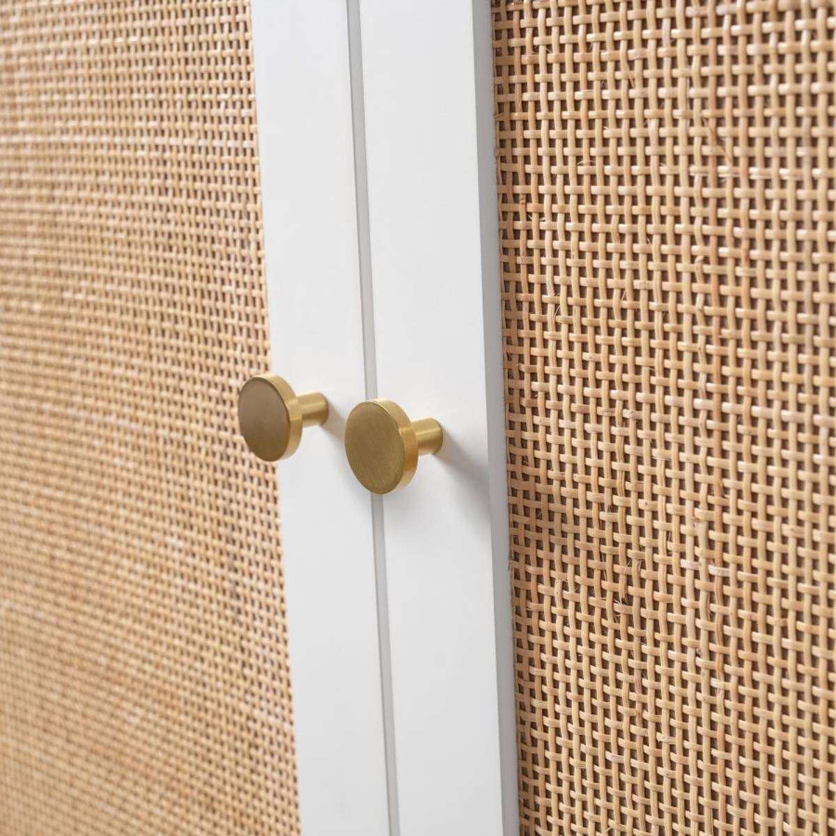 Georgia Two Door Cabinet