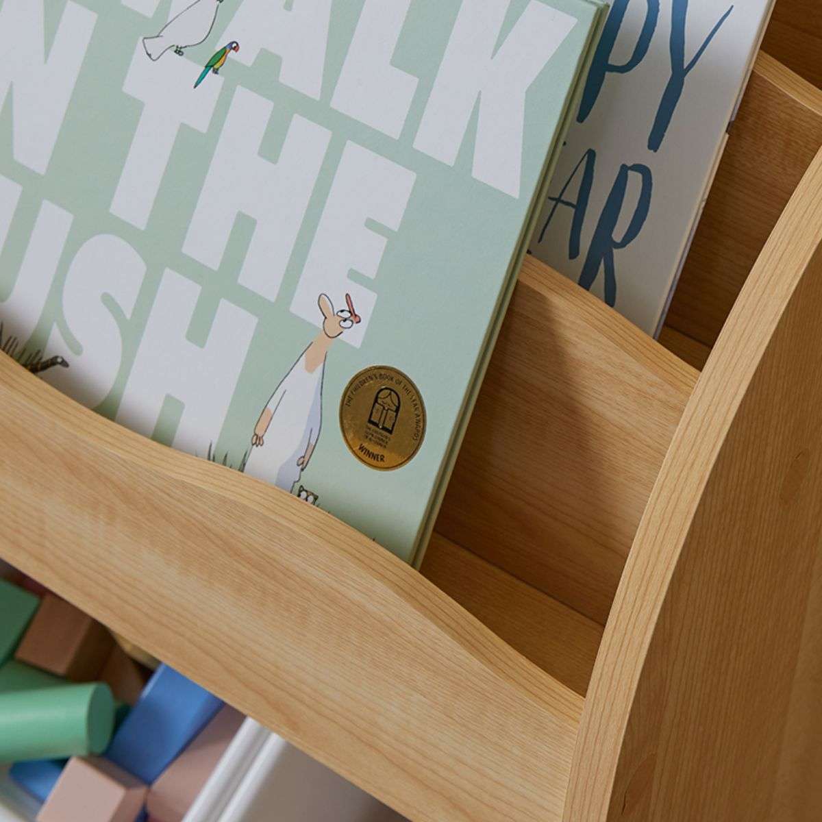 Theo Kids Bookshelf and Tub Organiser