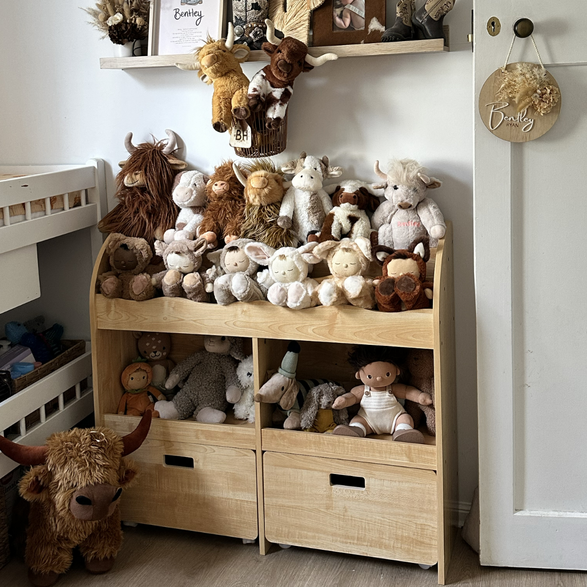 Theo Kids Bookshelf and Toy Drawer Organiser