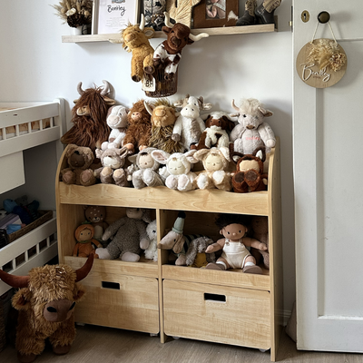 Theo Kids Bookshelf and Toy Drawer Organiser