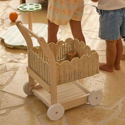 Basket Shopping Trolley