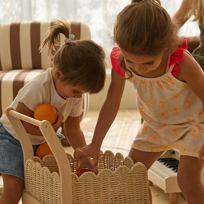 Basket Shopping Trolley