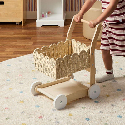 Basket Shopping Trolley