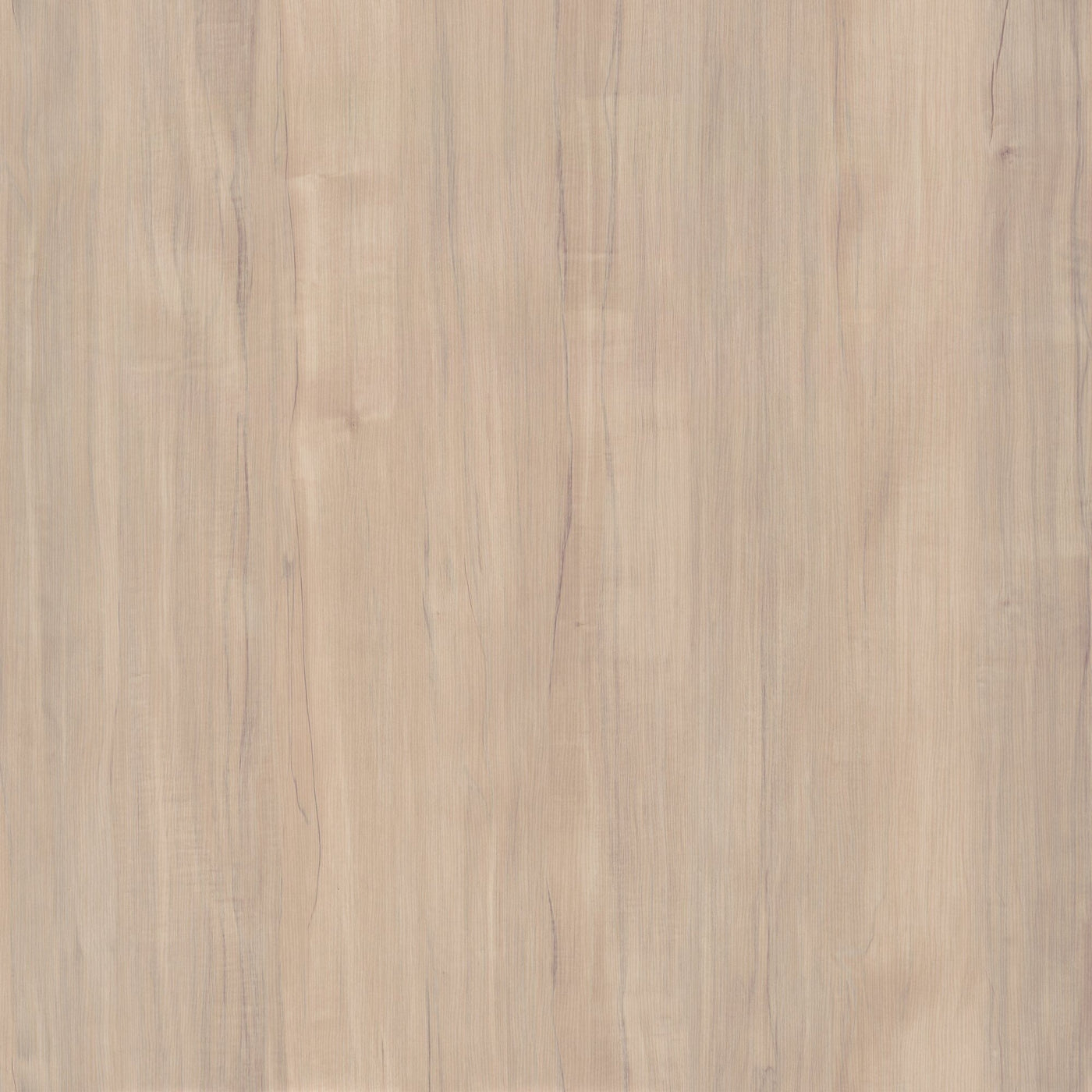 Woodland 40W Wall Mounted Coat Rack with Shelf by Bush Furniture